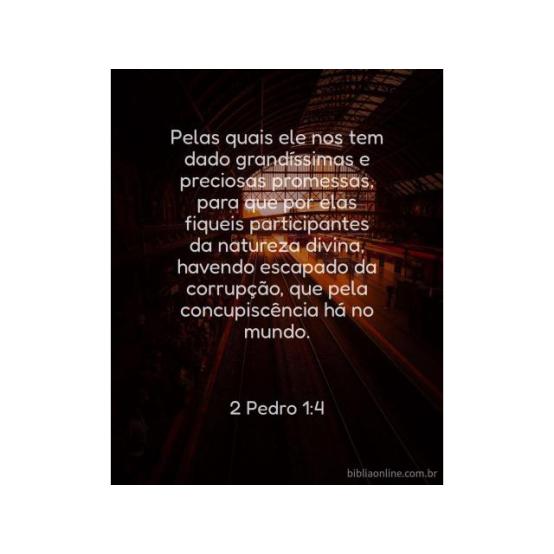 Participantes pela promessa de Deus