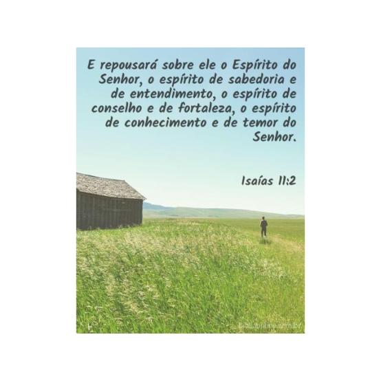 Ele traz sabedoria e conhecimento