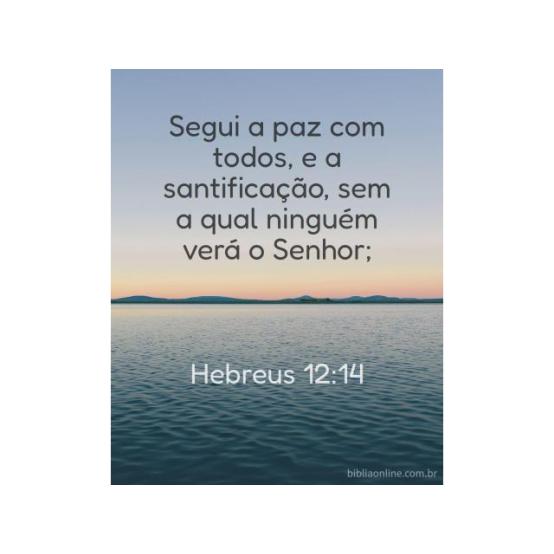 Santidade de vida