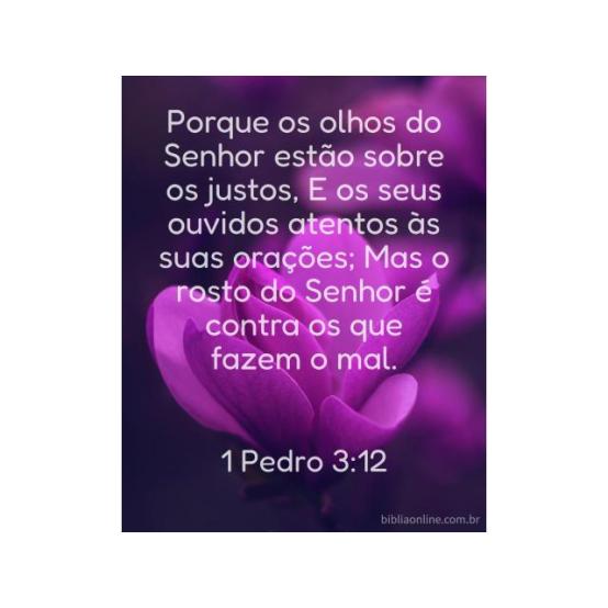 Segurança só na obediência