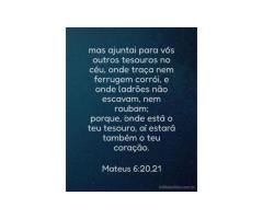 Onde investir?