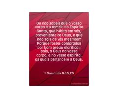 O sagrado templo do corpo