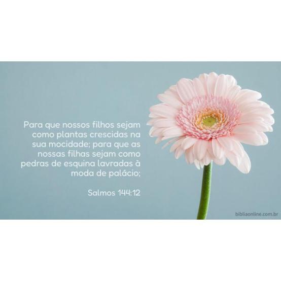 À semelhança de um palácio