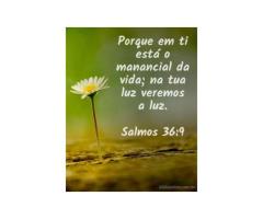 A fonte de toda a vida