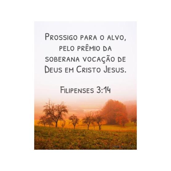 O grande objetivo da vida O grande objetivo da vida