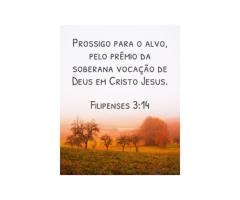 O grande objetivo da vida