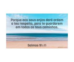 Meu anjo da guarda