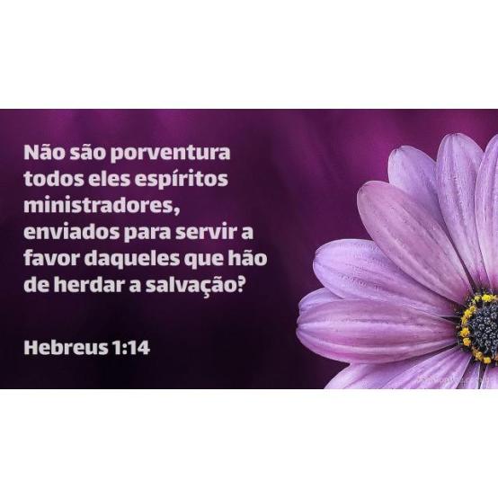 Anjos se associam para ganhar almas Anjos se associam para ganhar almas