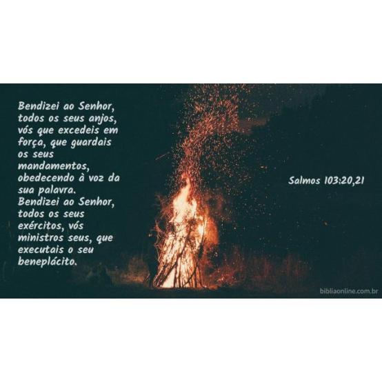 Deleitam-se em fazer a vontade de Deus Deleitam-se em fazer a vontade de Deus