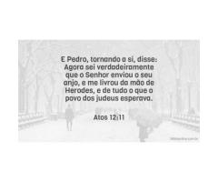 Pedro livrado por um anjo