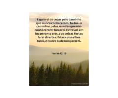 Nos bastidores da vida