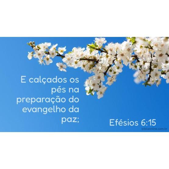 Pés calçados com o evangelho da paz Pés calçados com o evangelho da paz
