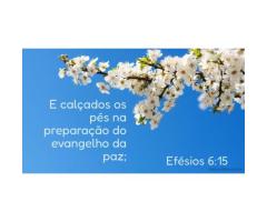 Pés calçados com o evangelho da paz