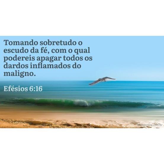 O escudo da fé O escudo da fé