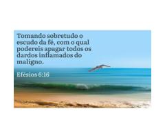 O escudo da fé