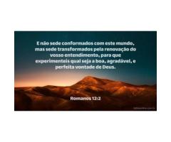 A vontade é o fator decisivo