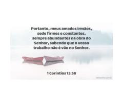 Firmes, inamovíveis