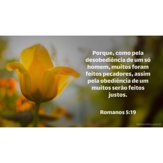 A vitória de Cristo redime o pecado de Adão A vitória de Cristo redime o pecado de Adão
