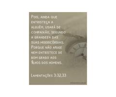 Luz nas sombras
