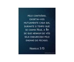 Hoje Hoje