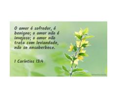 Mediante o amor