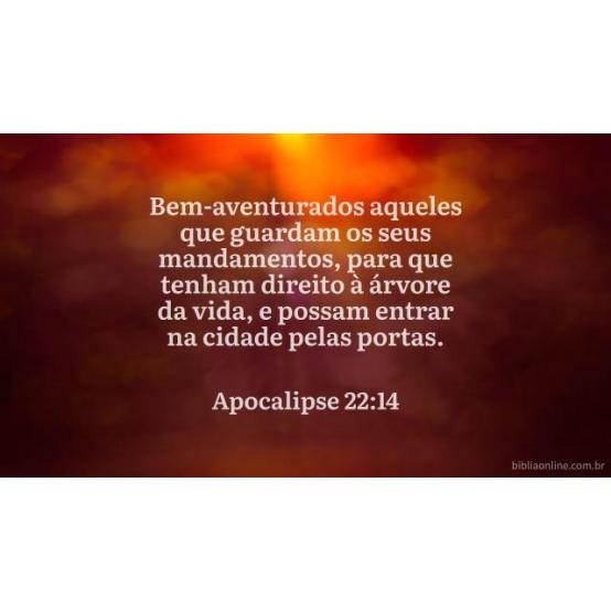 Guardar os mandamentos