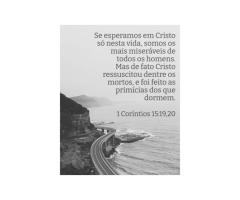 Cristo, as primícias