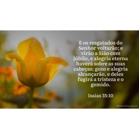 O povo de Deus libertado