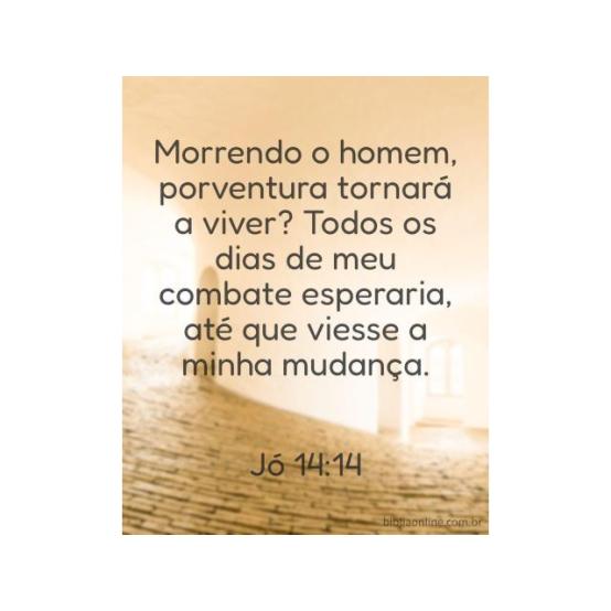 O doador da vida vem