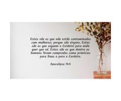 Acompanharão a Cristo