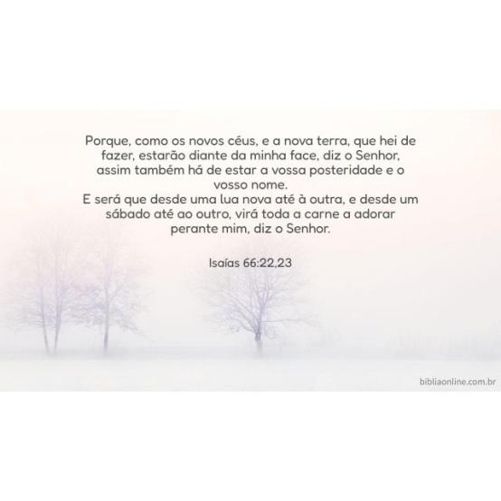 Adoraremos juntos