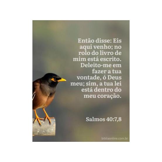O sacrifício voluntário de Jesus O sacrifício voluntário de Jesus