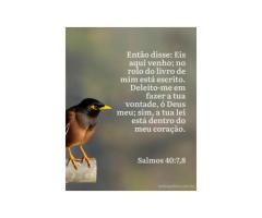 O sacrifício voluntário de Jesus