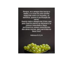 O sangue continuamente aplicado