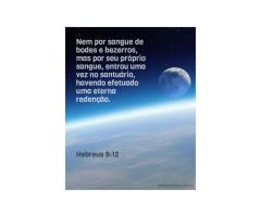 No compartimento santo No compartimento santo