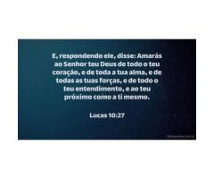 Obediência é o preço