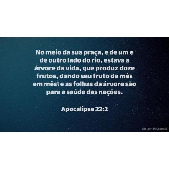 As folhas da árvore da vida