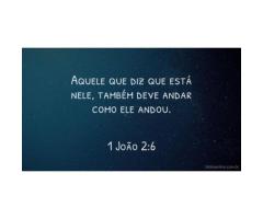 O grande médico-missionário