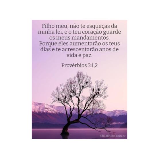 Saúde — A recompensa de bons hábitos