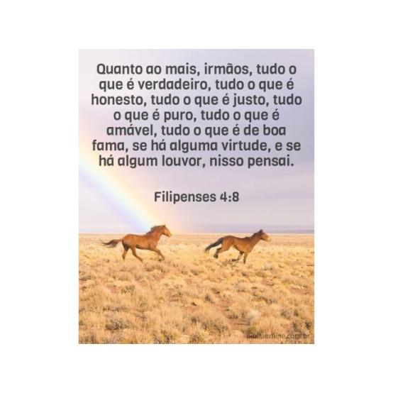 A juventude cristã e seus livros