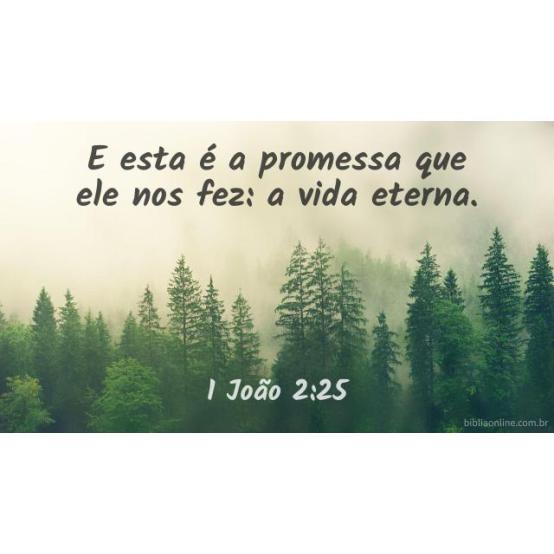 A VIDA ETERNA