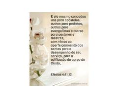 A unidade que Cristo está buscando