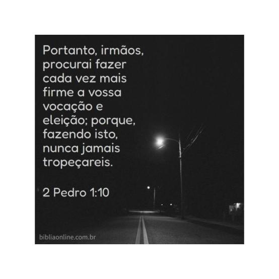 Obediência por princípio