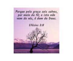 Obediência através da graça