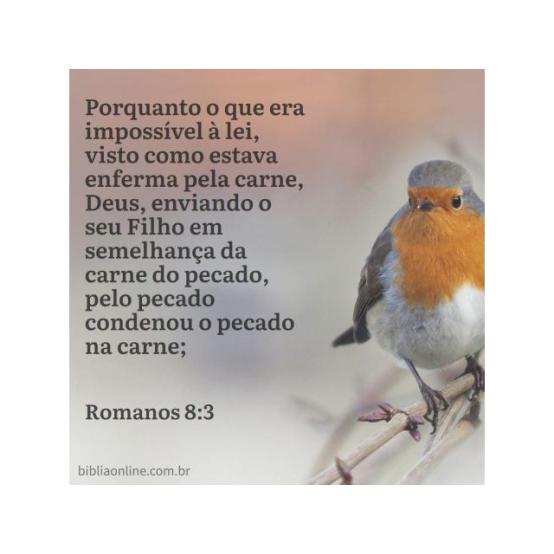 A lei e a felicidade