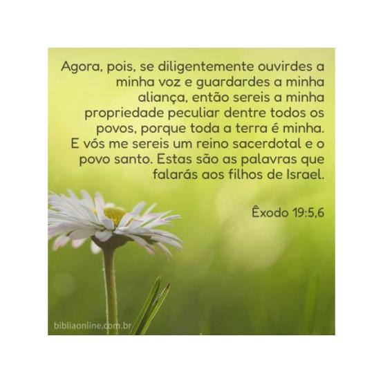 Uma lei para todas as épocas
