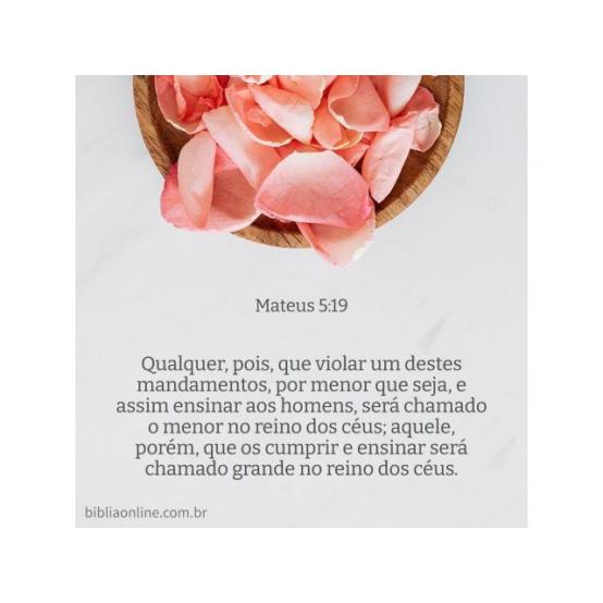 Desobediência e rebelião