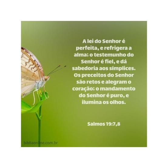 A lei de Deus é perfeita