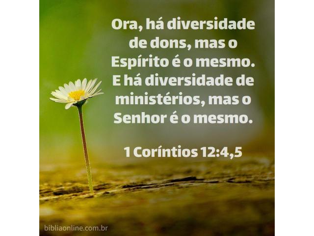 A importância dos dons espirituais