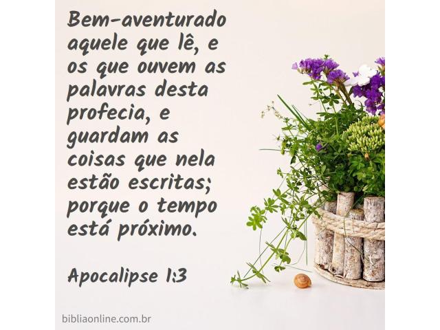 Tempo para estudar o apocalipse